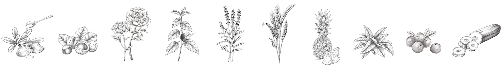 [ custom-blended skincare ]