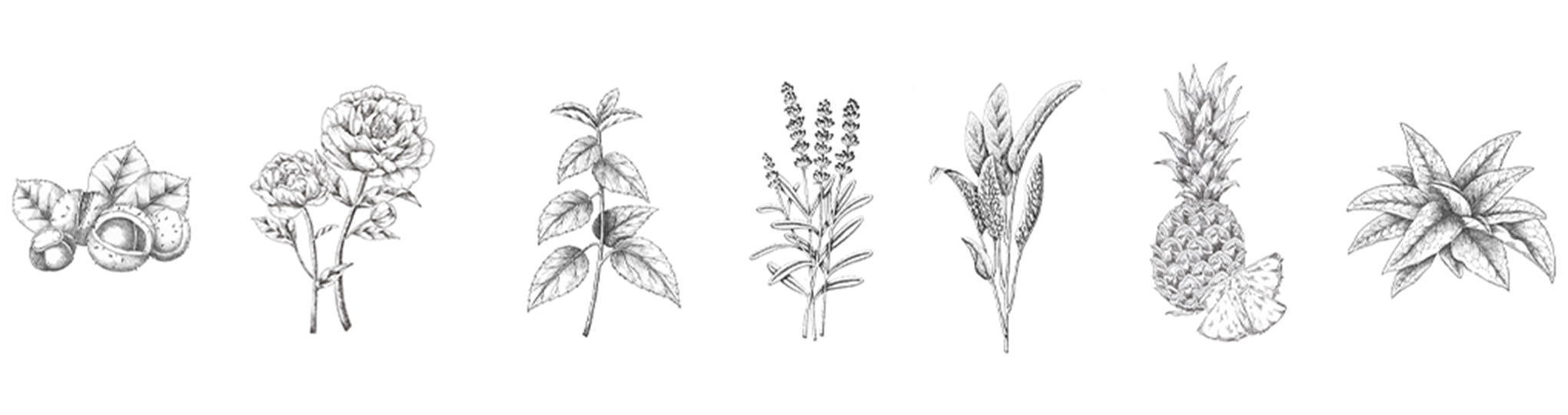 [ custom-blended skincare ]